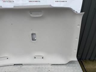 Обшивка потолка Niro 2024