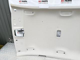 Обшивка потолка Kia Niro