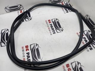 Уплотнительная резинка боковой двери передняя левая Kicks 2021 1.6