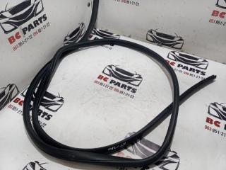 Уплотнительная резинка боковой двери задняя правая Nissan Kicks 2021