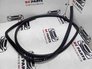 Уплотнительная резинка боковой двери задняя левая Kicks 2021 1.6