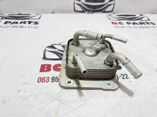 Теплообменник Вариатора Rogue 2017 T32 QR25 2.5