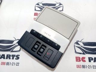 Плафон подсветки салона Rogue 2021 T33 2.5