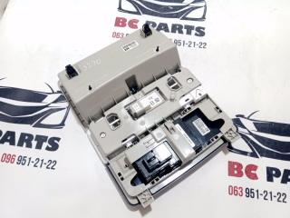 Плафон подсветки салона Rogue 2021 T33 2.5