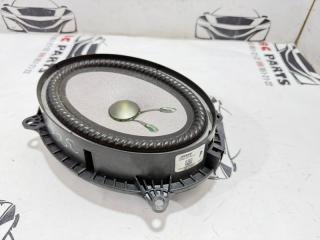 Динамик передний Rogue 2021 T33 2.5