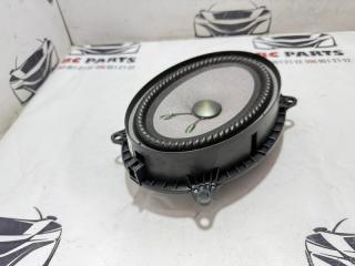 Динамик передний Rogue 2021 T33 2.5