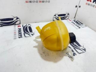 Бачок расширительный Rogue 2021 T33 2.5