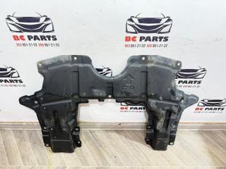 Защита двигателя Rogue 2021 T33 2.5