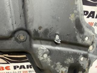 Защита двигателя Rogue 2021 T33 2.5