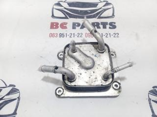 Теплообменник Вариатора Rogue 2021 T33 2.5