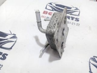 Теплообменник Вариатора Rogue 2021 T33 2.5