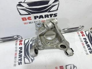 Цапфа задняя левая Rogue 2020 T33 2.5