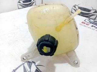 Бачок расширительный Rogue 2021 T33 2.5