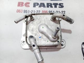 Теплообменник Вариатора Rogue 2020 T33 2.5