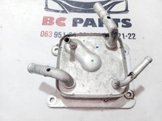 Теплообменник Вариатора Rogue 2020 T33 2.5