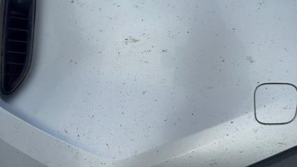 Бампер передний Rogue 2021 T33 2.5