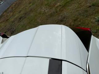 Крышка багажника Rogue 2021 T33 2.5