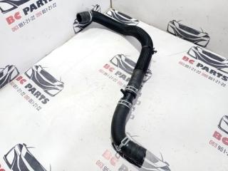 Патрубок радиатора Rogue 2023 T33 1.5