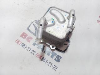 Теплообменник Вариатора Rogue 2024 T33 1.5